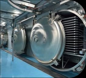 Vacuum freeze-dry chamber